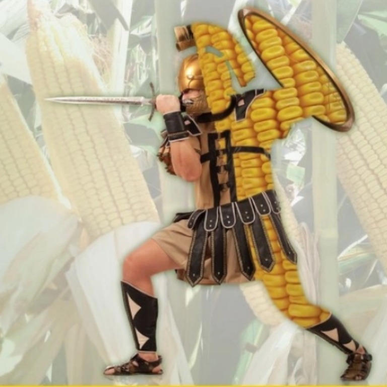 SY GLADIUS